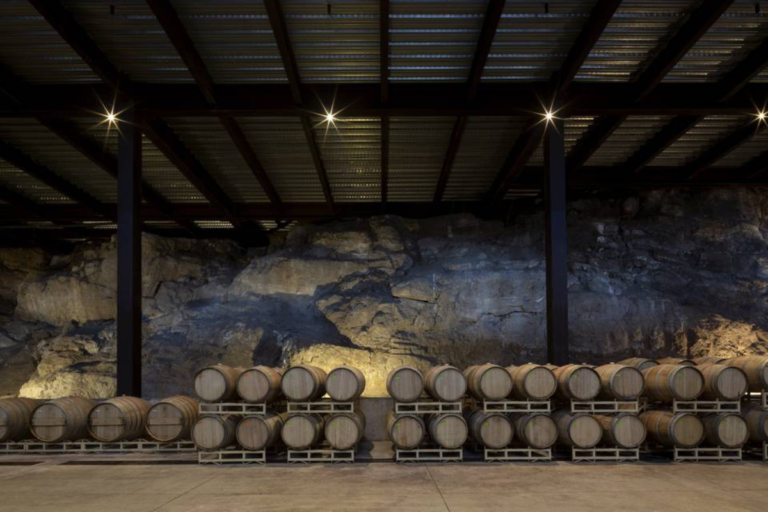 Bodega Viñedo San Miguel