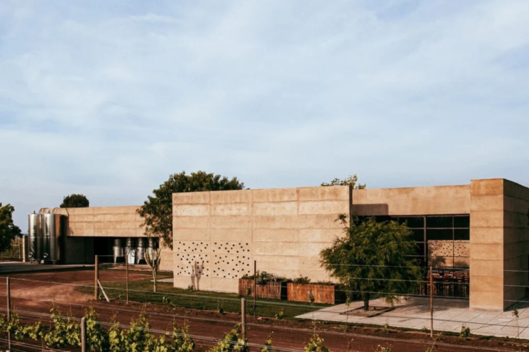 Viñedo Cuna de Tierra